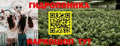 прущие крисы Жуковский